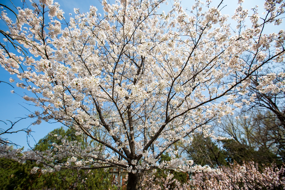 suncitygroup太阳集团(中国)-官方网站