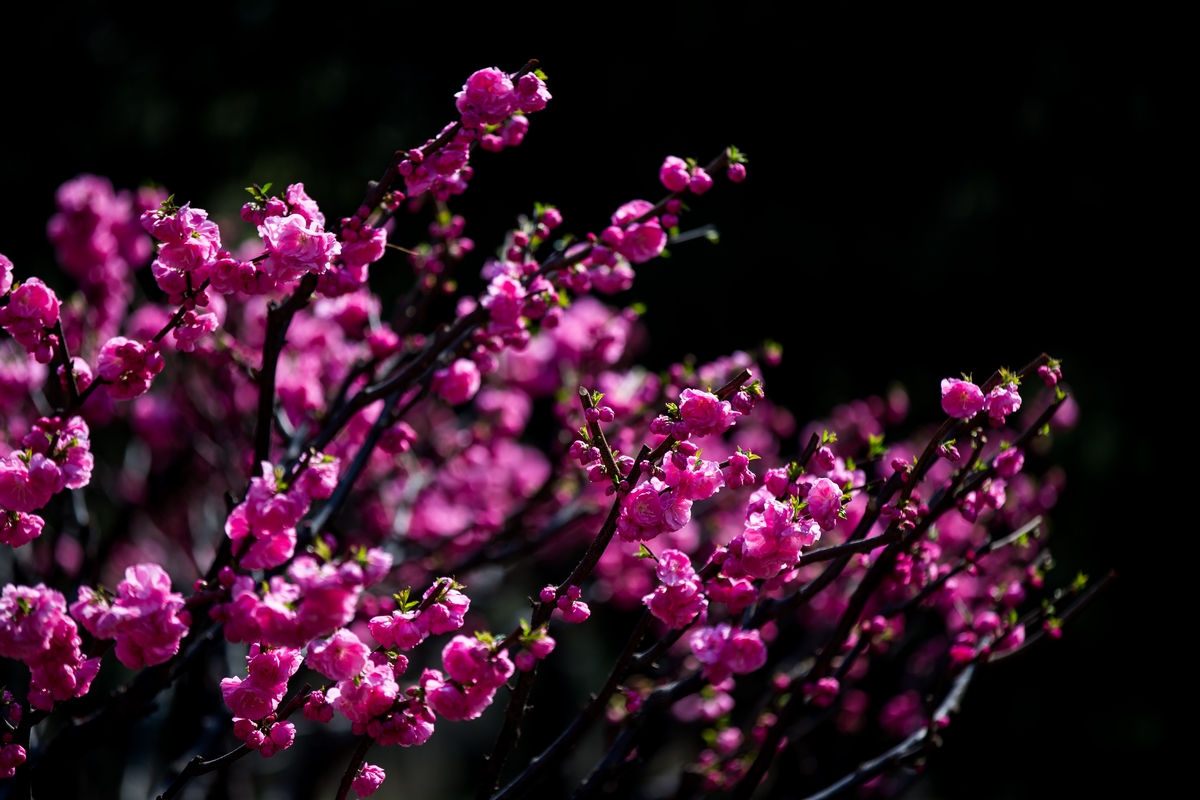 suncitygroup太阳集团(中国)-官方网站