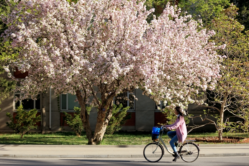 suncitygroup太阳集团(中国)-官方网站