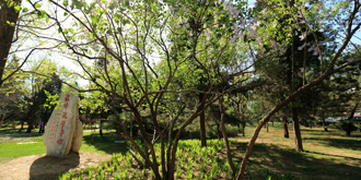 suncitygroup太阳集团(中国)-官方网站