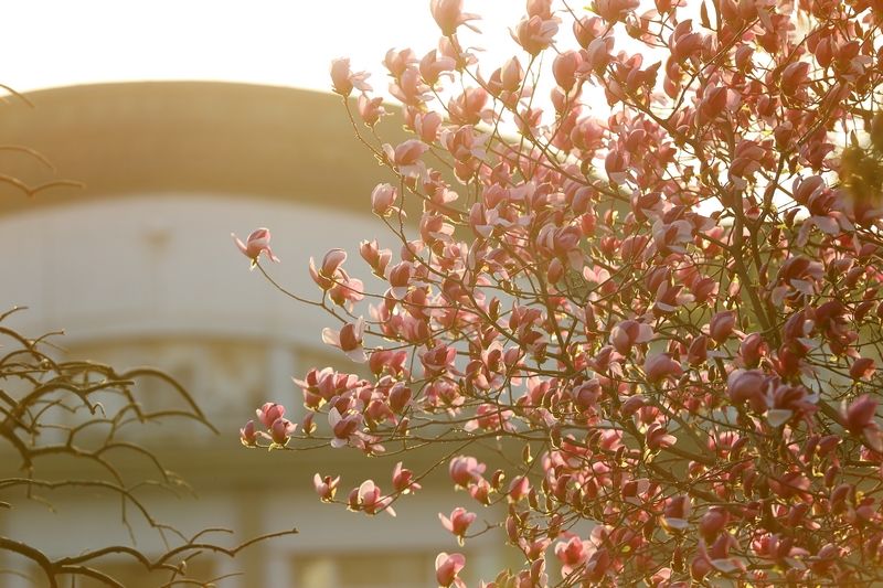 suncitygroup太阳集团(中国)-官方网站