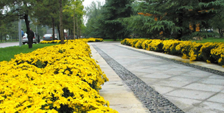 suncitygroup太阳集团(中国)-官方网站