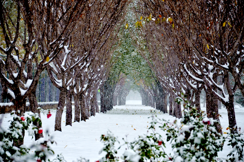 suncitygroup太阳集团(中国)-官方网站