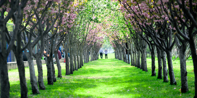 suncitygroup太阳集团(中国)-官方网站