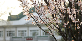 suncitygroup太阳集团(中国)-官方网站