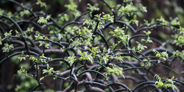 suncitygroup太阳集团(中国)-官方网站