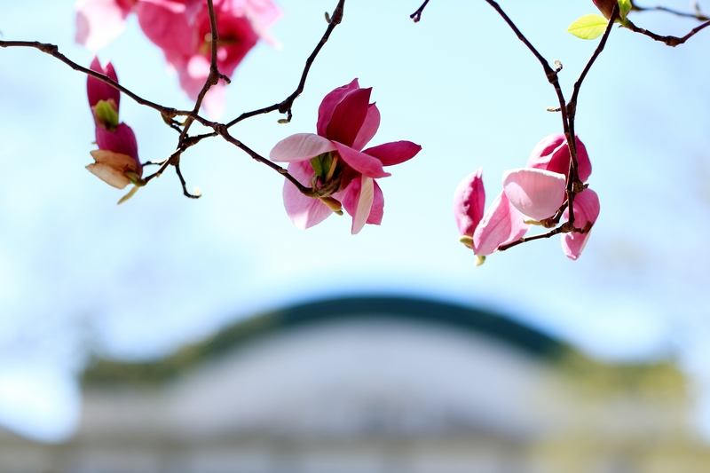 suncitygroup太阳集团(中国)-官方网站