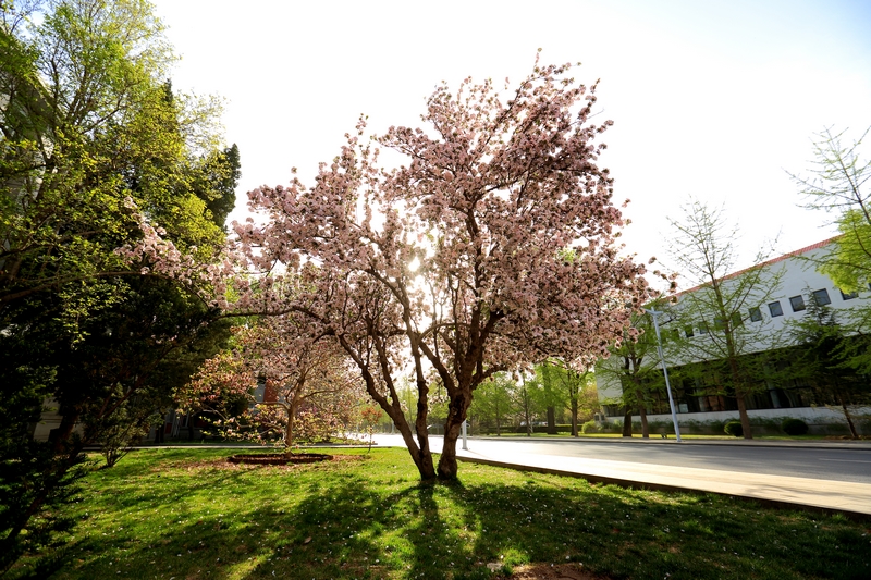 suncitygroup太阳集团(中国)-官方网站