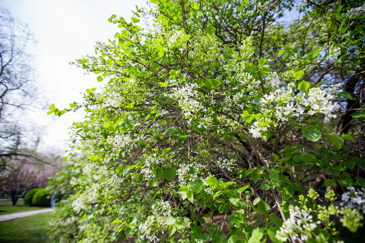 suncitygroup太阳集团(中国)-官方网站