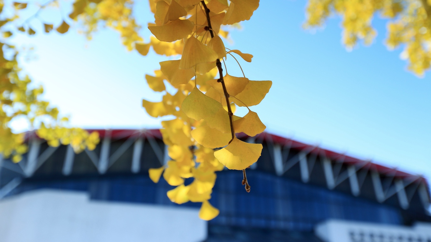 suncitygroup太阳集团(中国)-官方网站