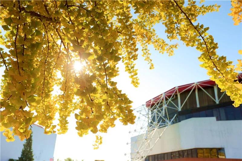 suncitygroup太阳集团(中国)-官方网站